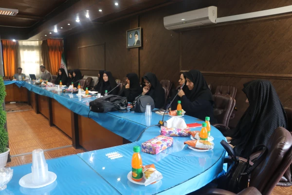 

 نشست هم اندیشی مدیران مدارس با نیازهای ویژه مجری کارورزی 4