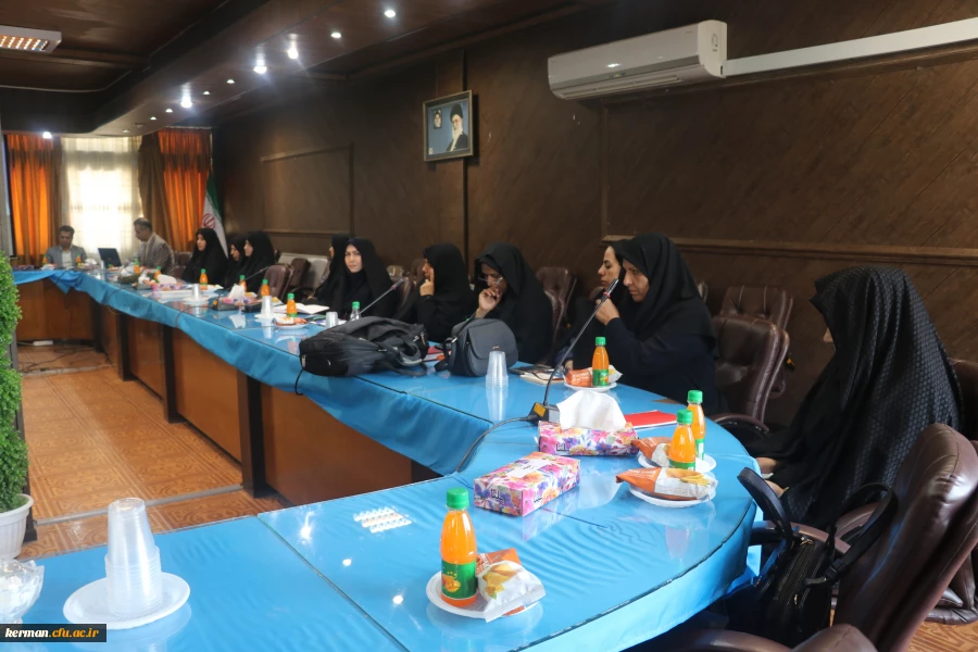 

 نشست هم اندیشی مدیران مدارس با نیازهای ویژه مجری کارورزی 4