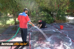 آماده سازی سراهای دانشجویی پردیس خواجه نصیر الدین طوسی دانشگاه فرهنگیان کرمان درآستانه آغاز سال تحصیلی جدید 10