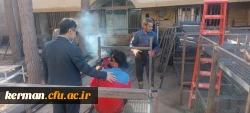 بازدید رئیس دانشگاه فرهنگیان استان کرمان ازروند آماده سازی سراهای دانشجویی درپردیس شهید باهنر 2
