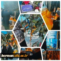 گزارش تصویری 2