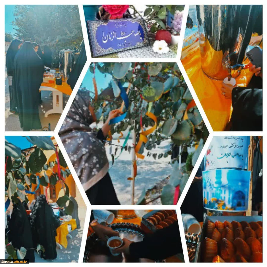 گزارش تصویری 2