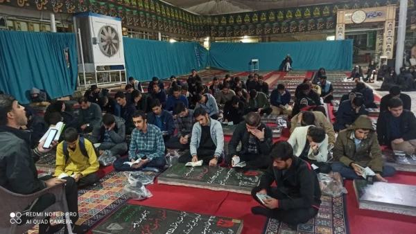 گزارش تصویری 5