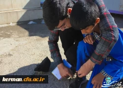 طرح جهاد تربیتی 4