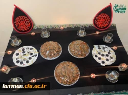 برگزاری مراسم ایام شهادت حضرت فاطمه زهرا سلام الله علیها  در دانشگاه فرهنگیان  مرکز رفسنجان
 4