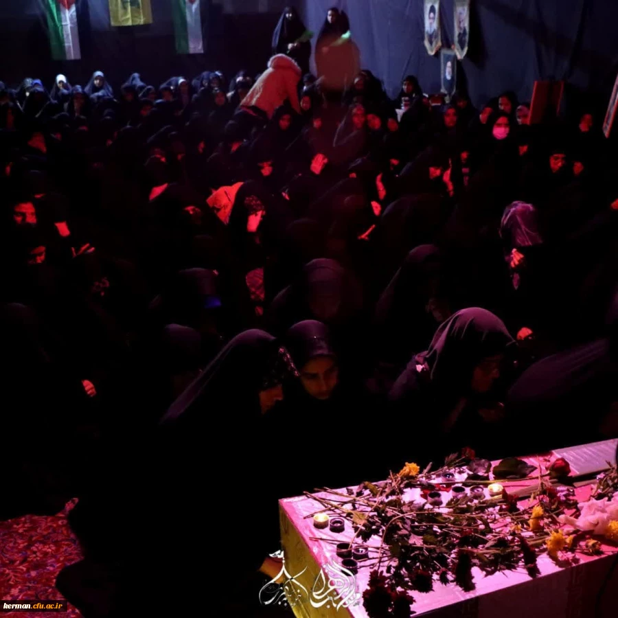 photo_2024-12-07_09-55-59