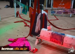 اولین یادواره شهیده دانشجومعلم فائزه رحیمی  12