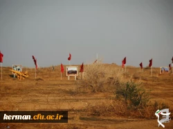 photo_2025-02-09_10-15-50