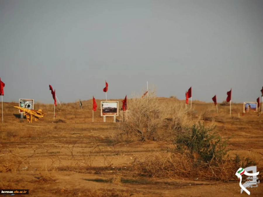 photo_2025-02-09_10-15-50