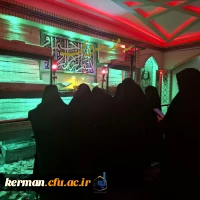 بازدید از تربت خانه امام حسین (ع) 2