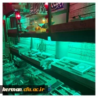 بازدید از تربت خانه امام حسین (ع) 3