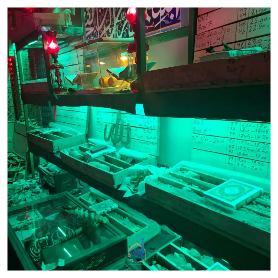 بازدید از تربت خانه امام حسین (ع) 3