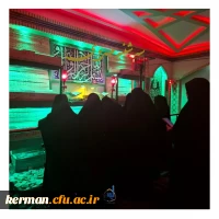 بازدید از تربت خانه امام حسین (ع) 5