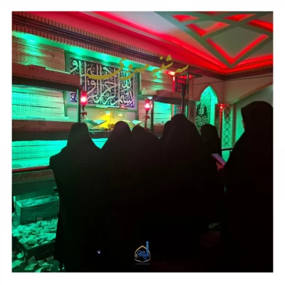 بازدید از تربت خانه امام حسین (ع) 5