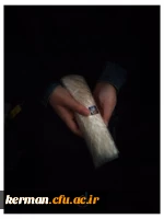 بازدید از تربت خانه امام حسین (ع) 6