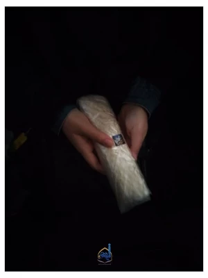 بازدید از تربت خانه امام حسین (ع) 6