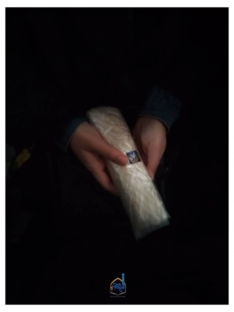 بازدید از تربت خانه امام حسین (ع) 6