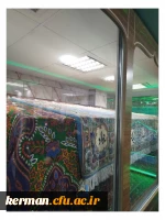 بازدید از تربت خانه امام حسین (ع) 8