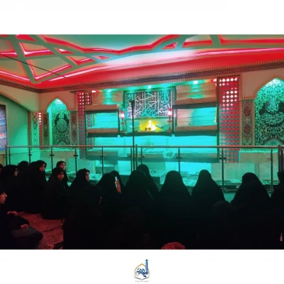 بازدید از تربت خانه امام حسین (ع) 10