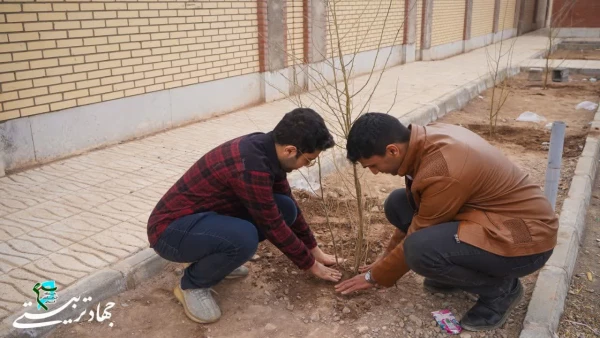 photo_2025-04-06_12-46-42