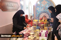 جشنواره فرهنگی هنری بومی ومحلی در پردیس شهید باهنر  8