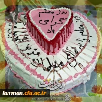 ویــــژه بـرنـامـه دهـــه کــرامـــت

 3