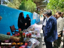 بازدید مسئولین دانشگاه فرهنگیان استان از بازارچه محصولات بومی محلی دانشجویی در پردیس خواجه نصیرالدین طوسی  3