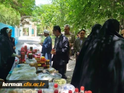 بازدید مسئولین دانشگاه فرهنگیان استان از بازارچه محصولات بومی محلی دانشجویی در پردیس خواجه نصیرالدین طوسی  6