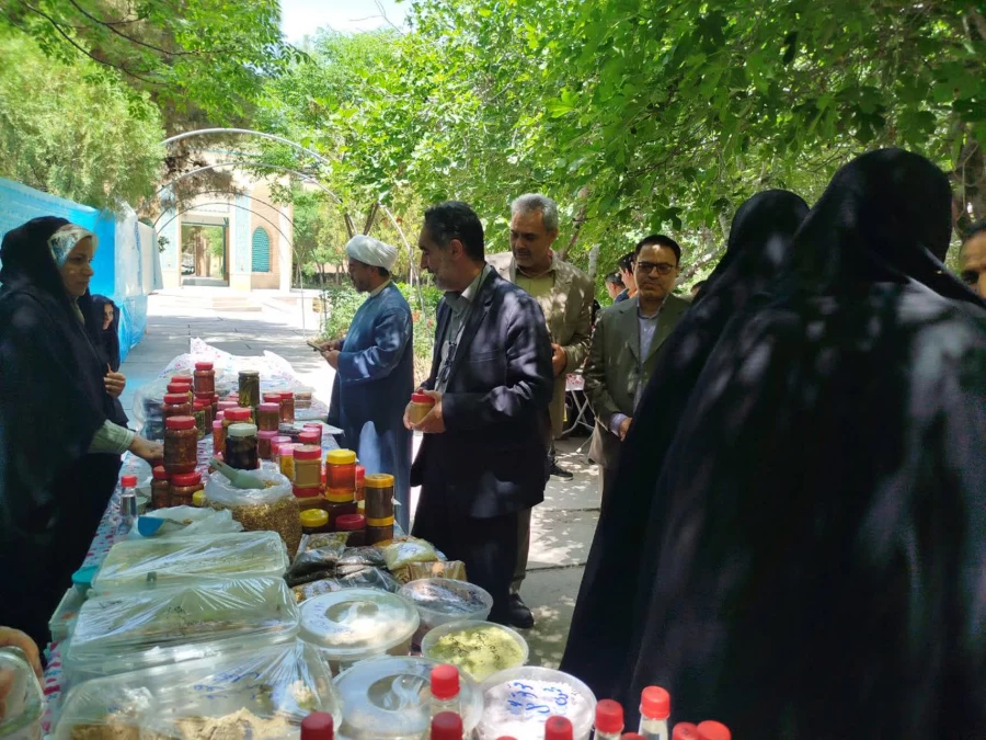 بازدید مسئولین دانشگاه فرهنگیان استان از بازارچه محصولات بومی محلی دانشجویی در پردیس خواجه نصیرالدین طوسی  6
