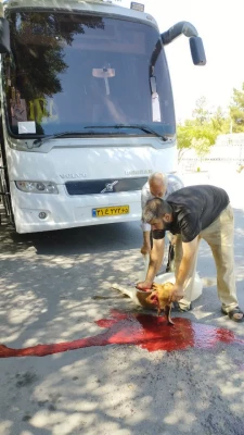  بدرقه  کاروان دانشجومعلمان پسر اعزامی به پیاده روی اربعین حسینی دانشگاه فرهنگیان استان کرمان  3