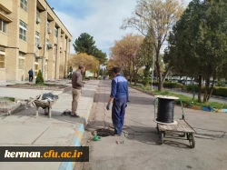 توسعه شبکه های ارتباطی و فناوری اطلاعات در پردیس خواجه نصیرالدین طوسی 6