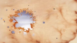 سبک سلیمانی 12